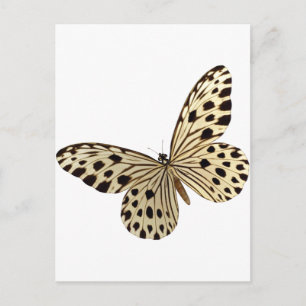 Carte Postale Trucs de Kids Papillon