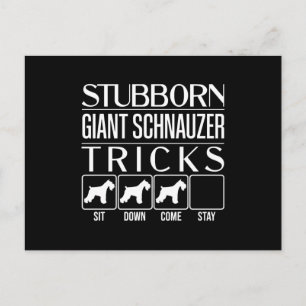 Carte Postale Trucs de Schnauzer Géant Stubborn, Schna Géant Fun