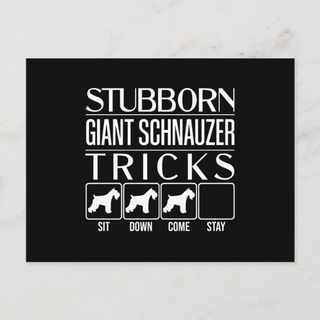 Carte Postale Trucs de Schnauzer Géant Stubborn, Schna Géant Fun (Devant)