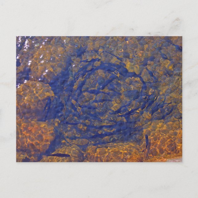 Carte Postale Truite dans une balle serrée dans un étang, Charle (Devant)