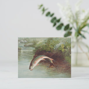 Carte Postale Truitelle de ruisseau sautant par S.A. Kilbourne P