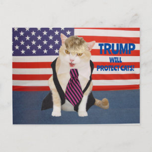 Carte postale Trump Kitty
