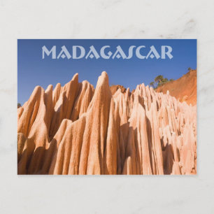 Carte Postale Tsingy rouge de Madagascar
