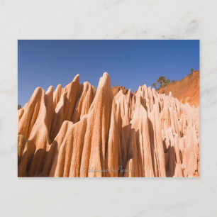 Carte Postale Tsingy rouge de Madagascar