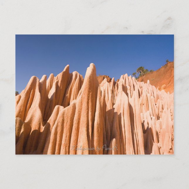 Carte Postale Tsingy rouge de Madagascar (Devant)