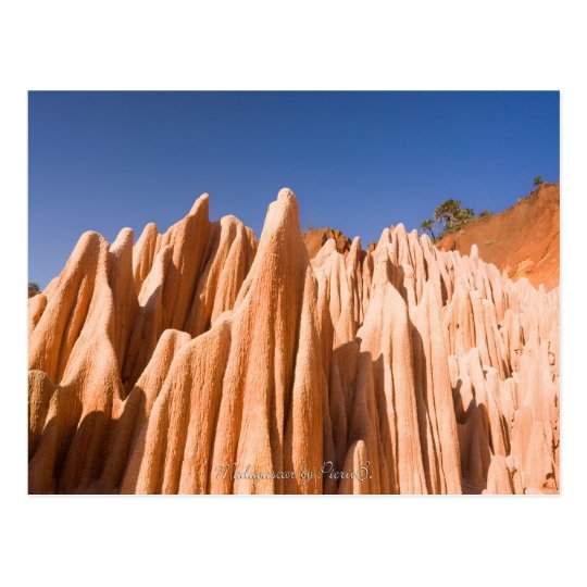 Carte Postale Tsingy rouges de Madagascar