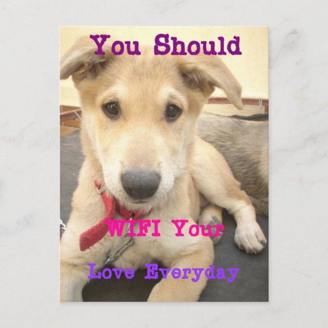 Carte Postale Tu Devrais WIFI Ton Amour Tous Les Jours (Devant)