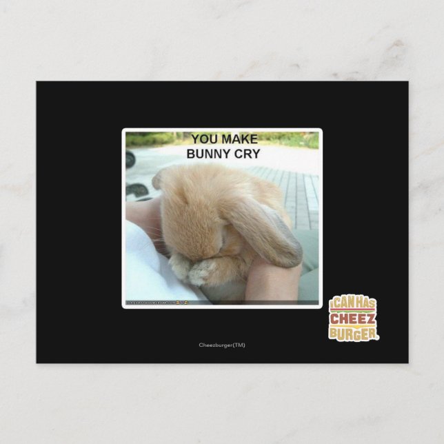 Carte Postale Tu fais pleurer le lapin (Devant)