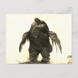 Carte Postale Tu Leves, Bro ? -