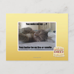 Carte Postale Tu m'as réveillé