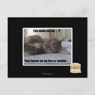 Carte Postale Tu m'as réveillé