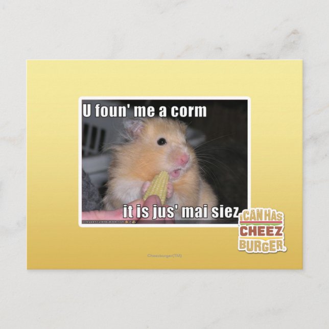 Carte Postale Tu m'as trouvé du maïs (Devant)