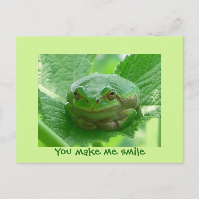 Carte Postale Tu me fais sourire - grenouille verte (Devant)
