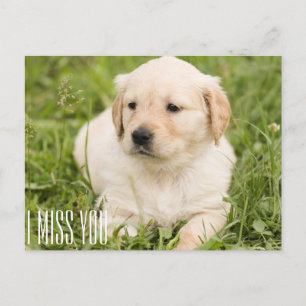 Carte Postale Tu me manques