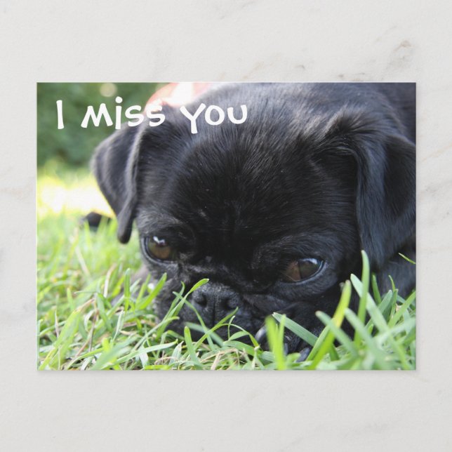 Carte Postale Tu me manques (Devant)
