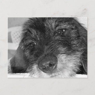 Carte Postale Tu me manques