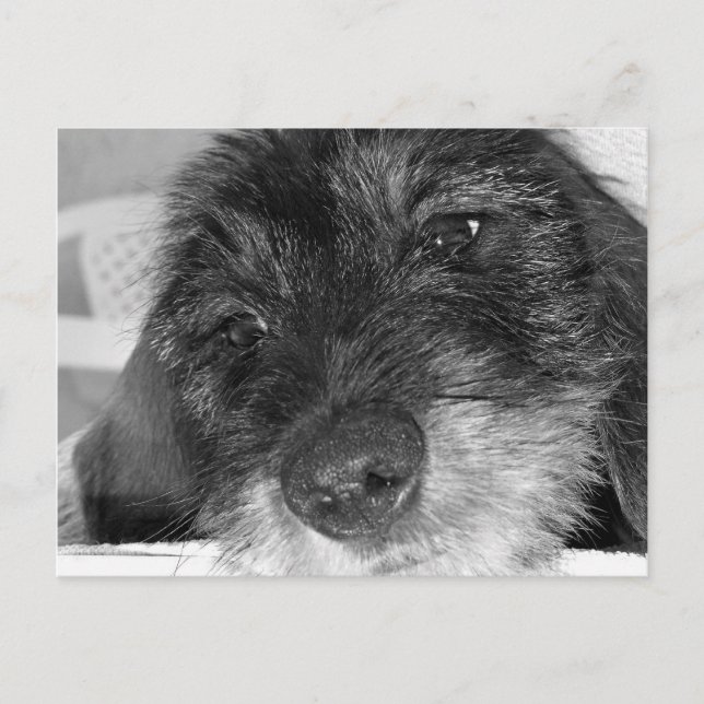 Carte Postale Tu me manques (Devant)