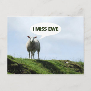 Carte Postale Tu Me Manques Drôle Mouton Ewe