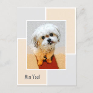 Carte postale "Tu me manques" pour chien Malshi