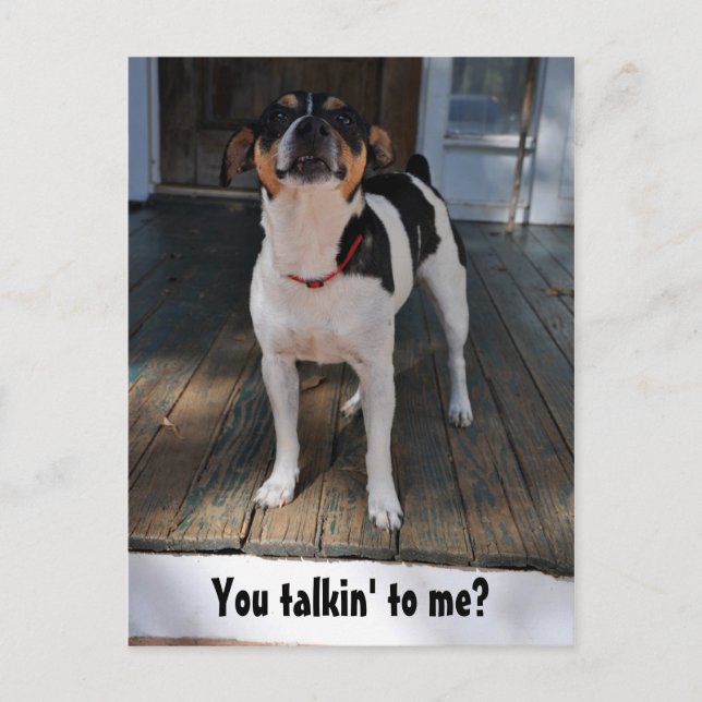 Carte Postale Tu me parles ? (Devant)