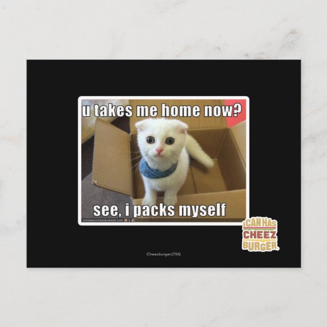 Carte Postale Tu me ramènes maintenant ? (Devant)