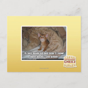 Carte Postale Tu peux faire le lit plus tard.