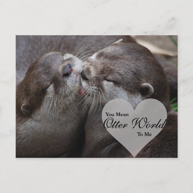 Carte Postale Tu Veux Dire Qu'Un Monde D'Otter Pour Moi Otters A (Devant)