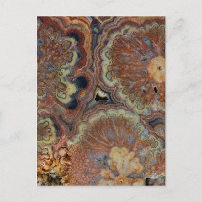 Carte Postale Tube de floraison Onyx (Devant)