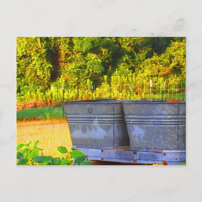 Carte Postale Tubes de Nola (Devant)