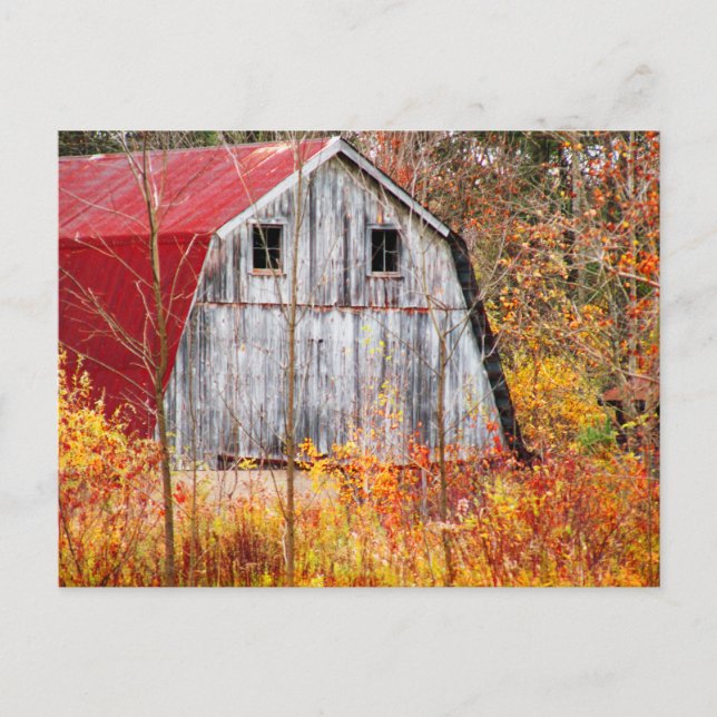 Carte Postale Tuced Away (Devant)