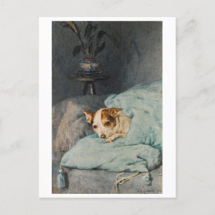 Carte Postale Tucking Up - Chien