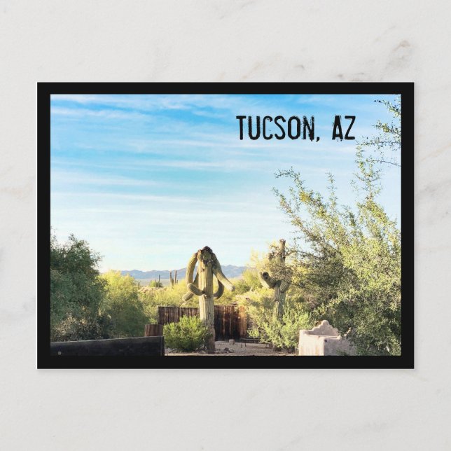 Carte postale Tucson, Az (Devant)
