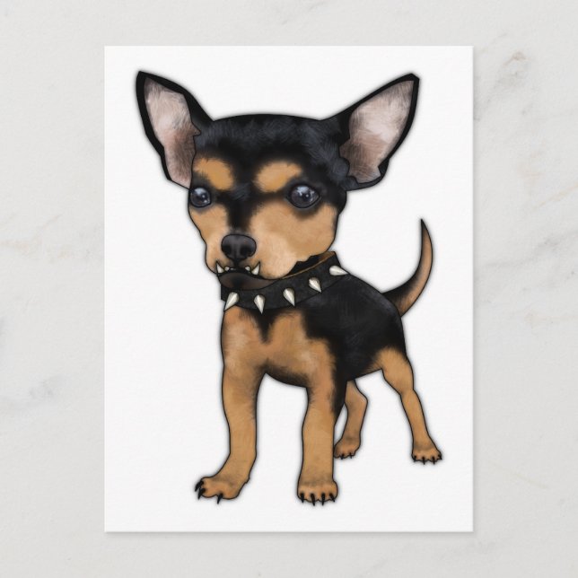 Carte Postale Tueur Chihuahua (Devant)