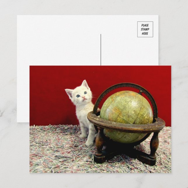 Carte Postale Tuffy McDuff autour du monde - Chat / Kitten (Devant / Derrière)