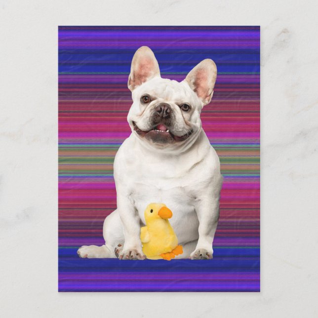 Carte postale "Tuffy McTuggs" (Devant)