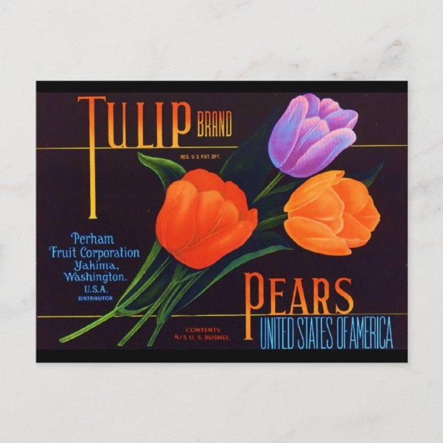 Carte Postale Tulip (Devant)