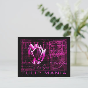 Carte Postale Tulip Mania