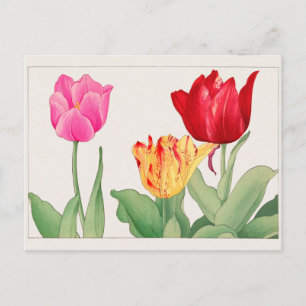 Carte Postale Tulip par Tanigami Konan