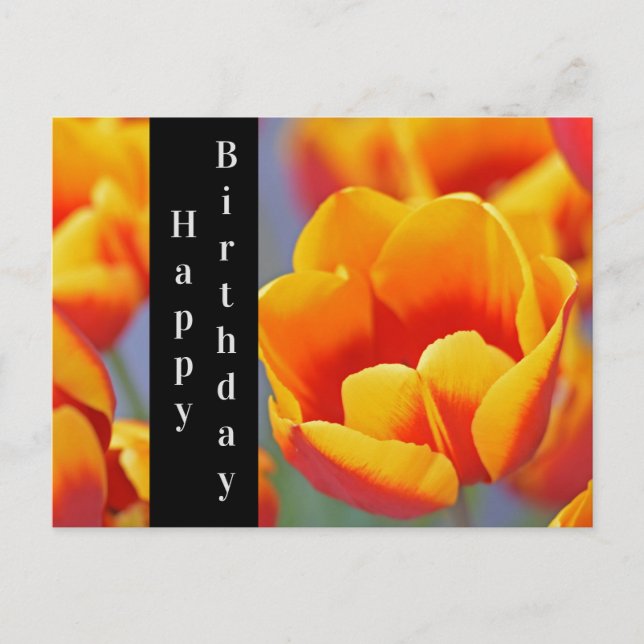 Carte Postale Tulipe élégante jaune et rouge Joyeux Anniversaire (Devant)