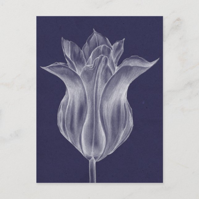 Carte Postale Tulipe monochrome III (Devant)