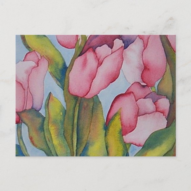 Carte postale Tulipe rose (Devant)