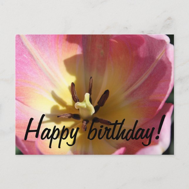 Carte Postale Tulipe rose et jaune (Devant)