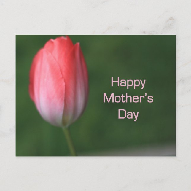 Carte Postale tulipe rouge, bonne fête des mères (Devant)