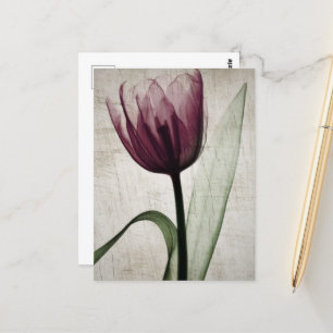Carte Postale Tulipe vintage X-Ray