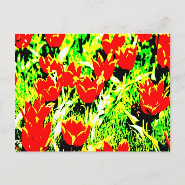 Carte Postale Tulipes (Devant)