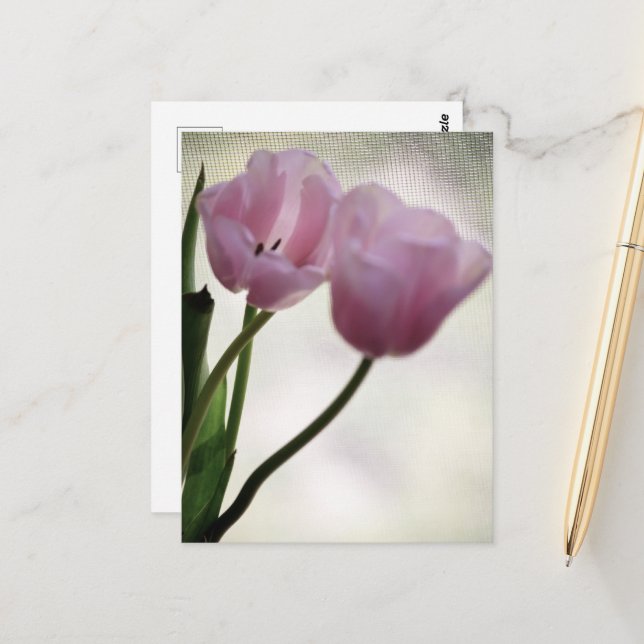 Carte Postale Tulipes 3265 (Devant/Arrière en situation)