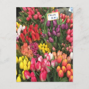 Carte Postale Tulipes à vendre Fleurs NYC Coin Bodega Photo
