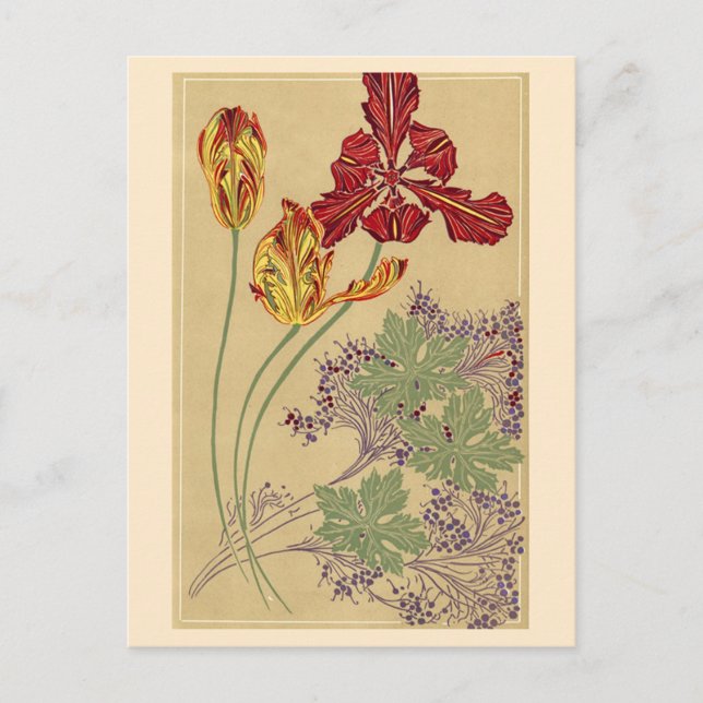 Carte Postale Tulipes Art Nouveau (Devant)