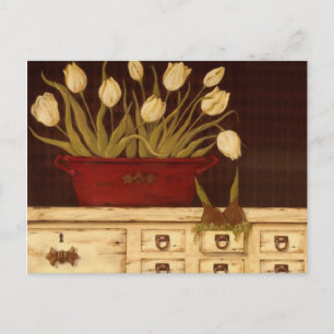 Carte Postale tulipes blanches
