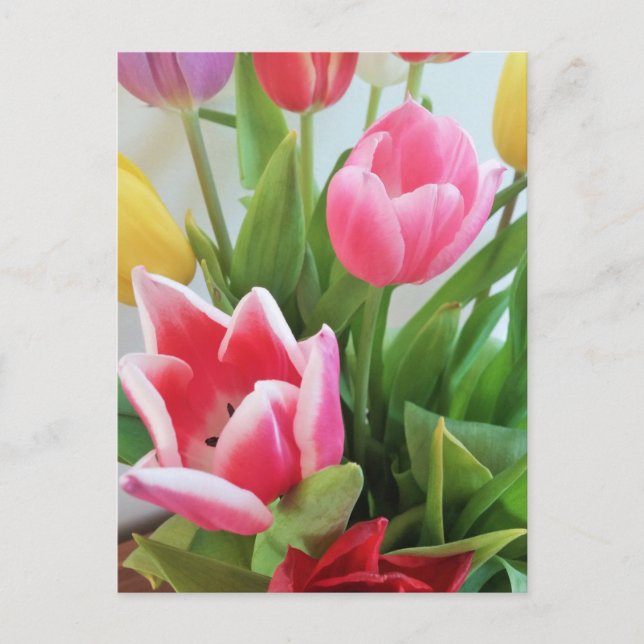Carte Postale Tulipes Bouquet Fleur Printemps, Floral, Nature (Devant)